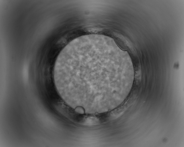 X0000102500572200809051348