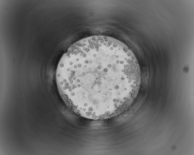 X0000102500574200809051348