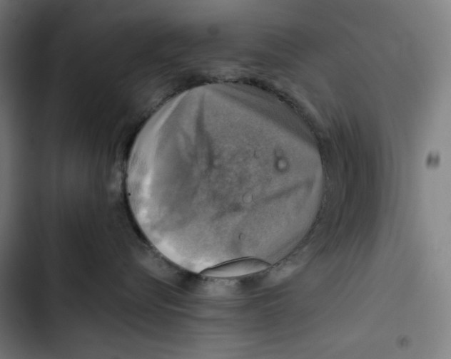 X0000102500576200809051348