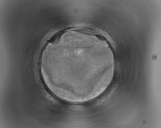 X0000102500577200809051347