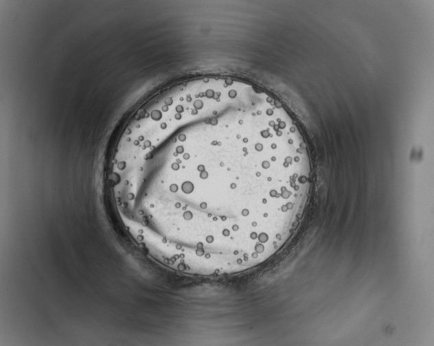 X0000102500578200809051347