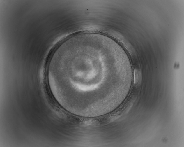 X0000102500579200809051347