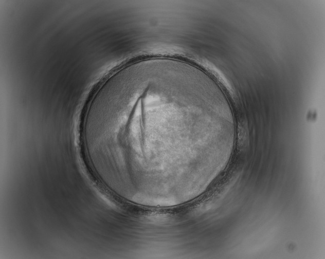 X0000102500581200809051347