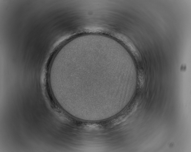 X0000102500583200809051347