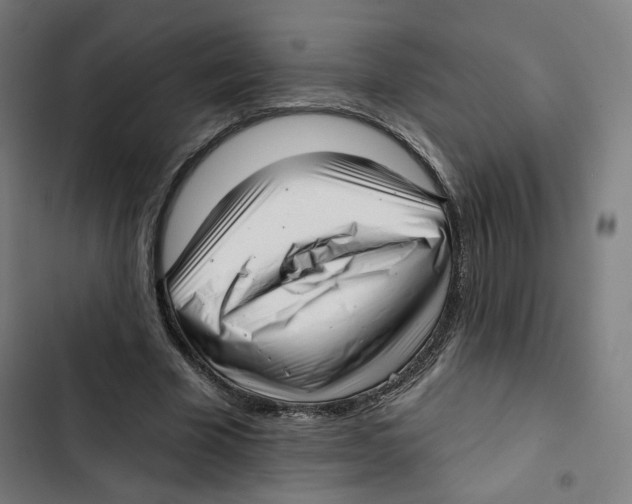 X0000102500585200809051347