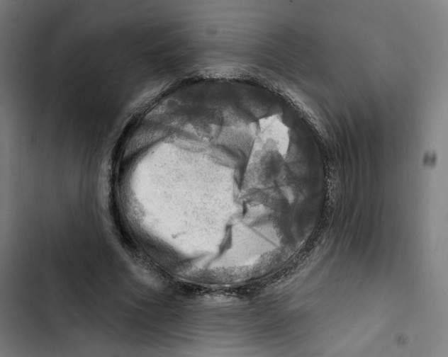 X0000102500586200809051347