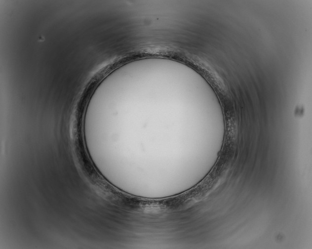 X0000102500587200809051347