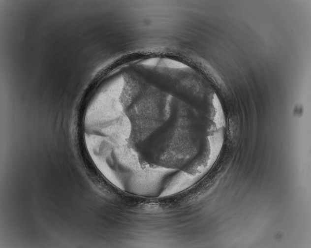 X0000102500588200809051347