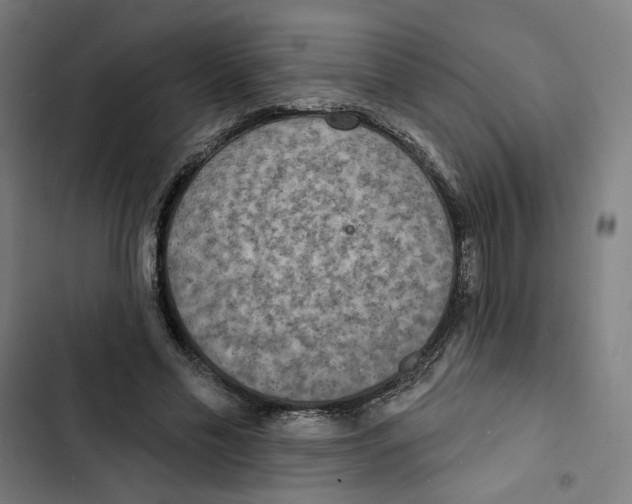 X0000102500589200809051347