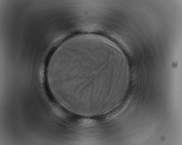 X0000102500590200809051347