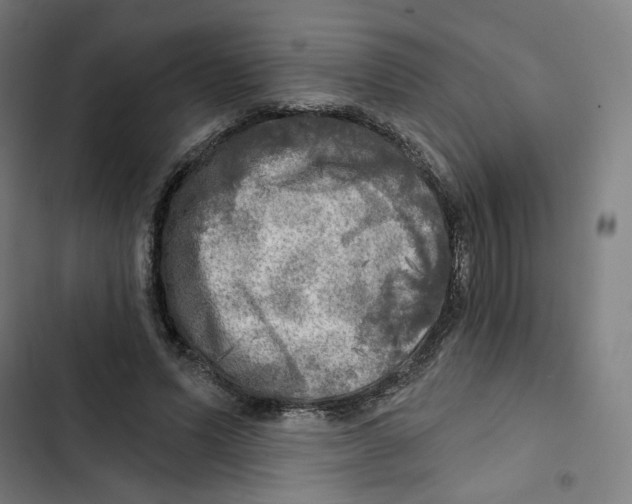 X0000102500591200809051347