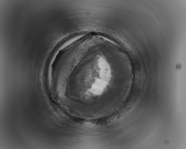 X0000102500592200809051347