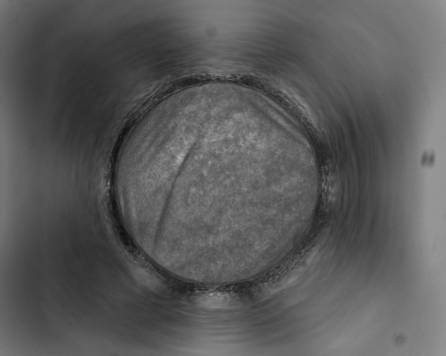 X0000102500593200809051347