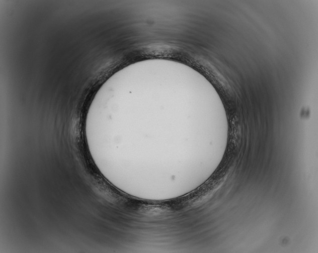 X0000102500597200809051347