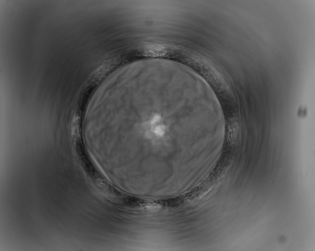 X0000102500598200809051347