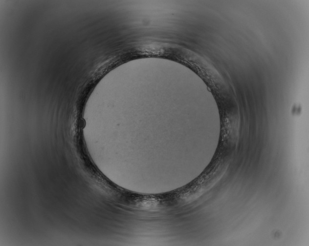 X0000102500600200809051347