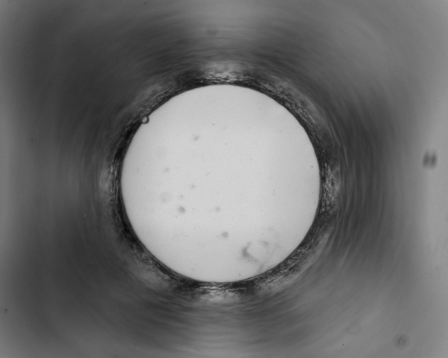 X0000102500601200809051347