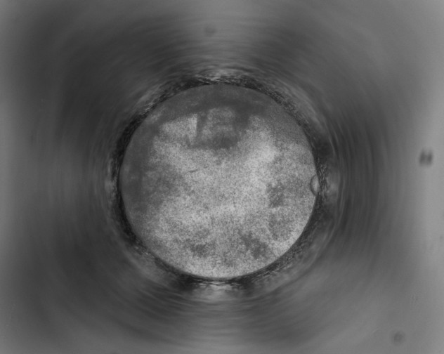 X0000102500607200809051347