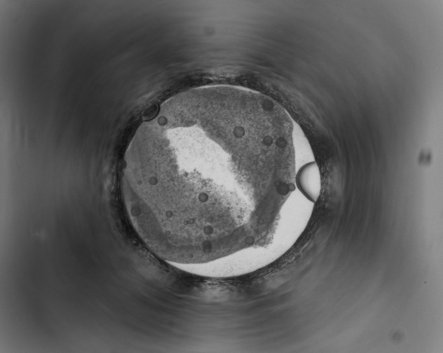 X0000102500608200809051347