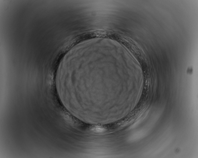 X0000102500610200809051347