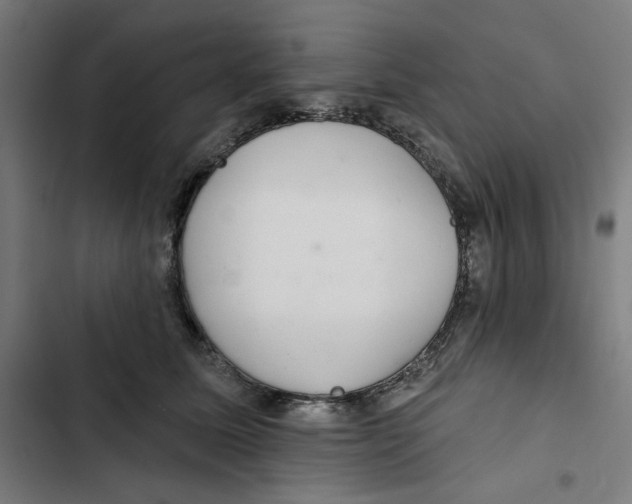 X0000102500611200809051347