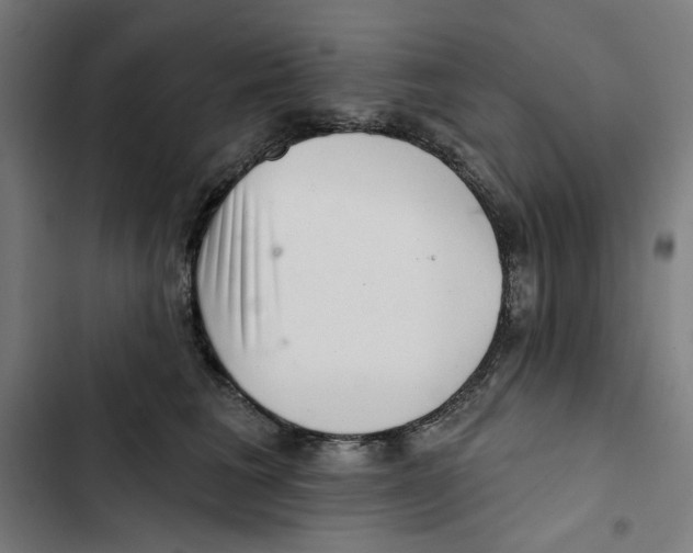 X0000102500613200809051347