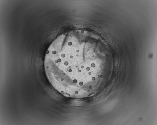 X0000102500614200809051347