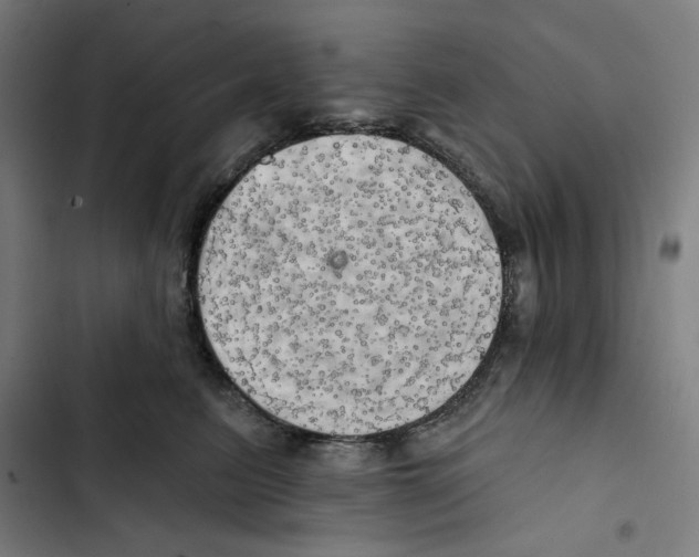 X0000102500615200809051347