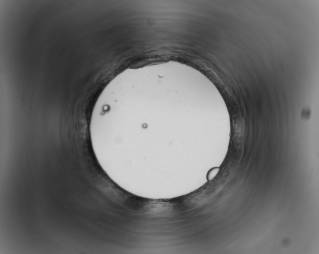 X0000102500617200809051347