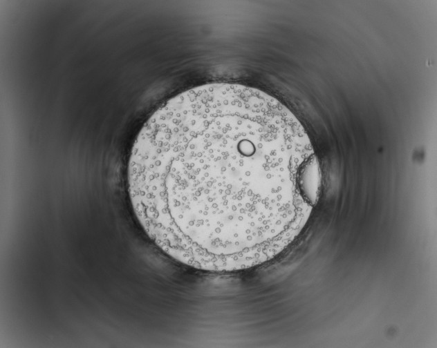 X0000102500619200809051347