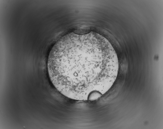 X0000102500620200809051347