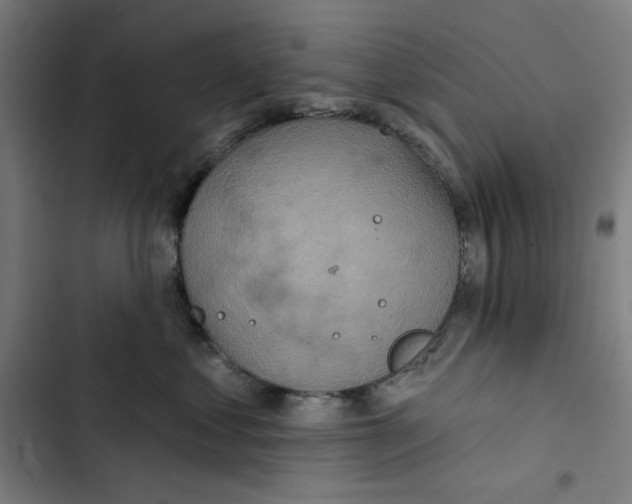 X0000102500621200809051347