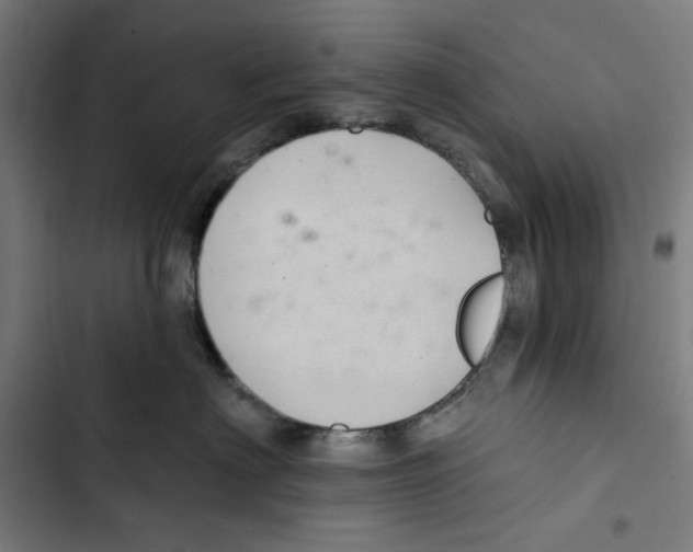 X0000102500622200809051347