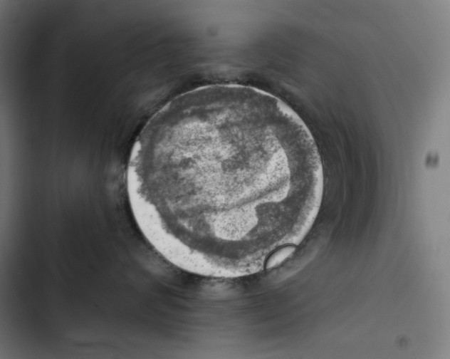 X0000102500624200809051347