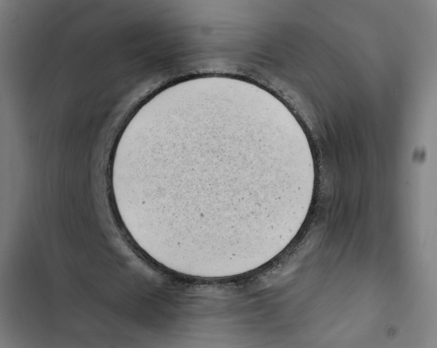 X0000102500625200809051346