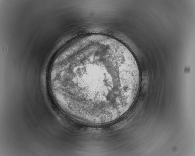 X0000102500626200809051346