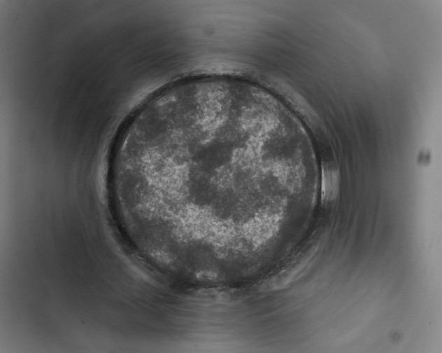 X0000102500627200809051346