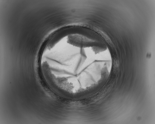 X0000102500628200809051346