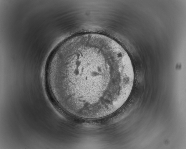 X0000102500630200809051346
