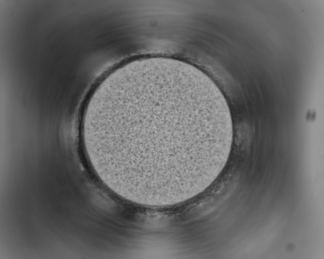 X0000102500632200809051346