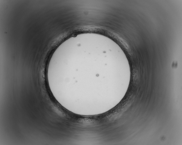 X0000102500633200809051346