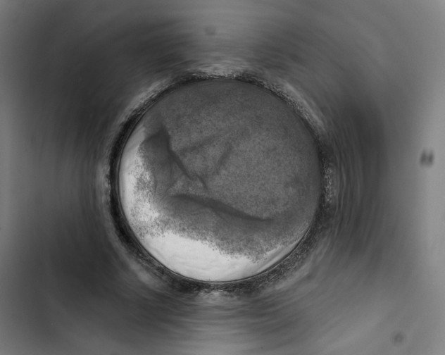 X0000102500634200809051346