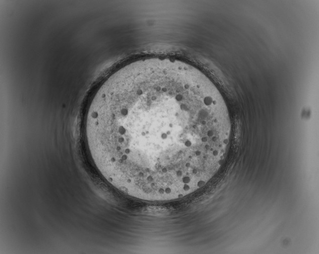 X0000102500636200809051346