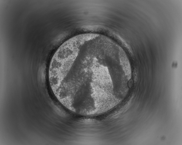 X0000102500637200809051346