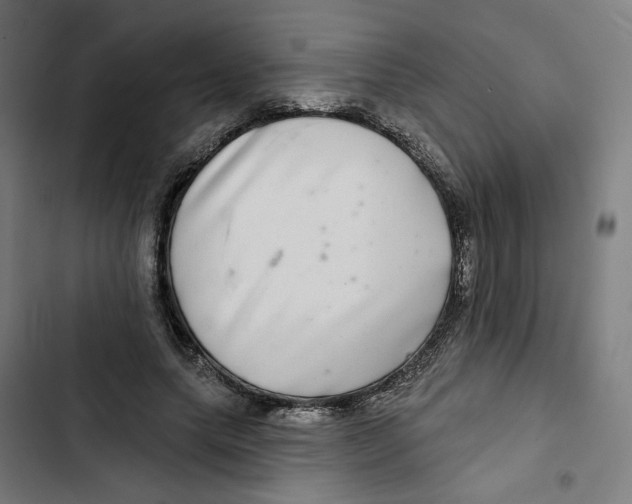 X0000102500639200809051346