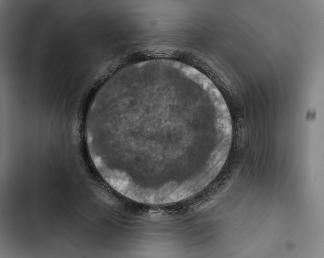 X0000102500641200809051346