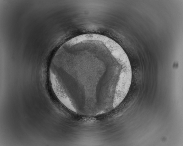 X0000102500642200809051346