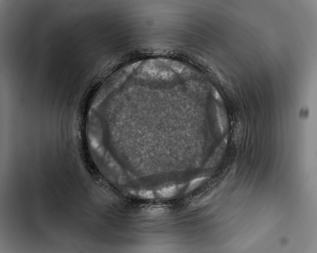 X0000102500643200809051346