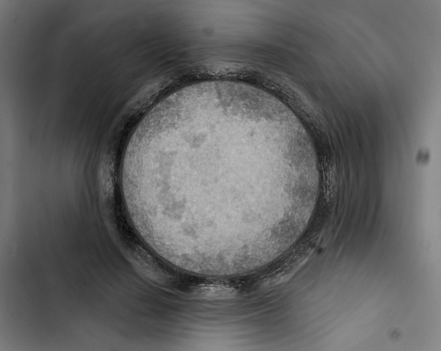 X0000102500644200809051346