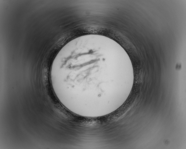 X0000102500646200809051346